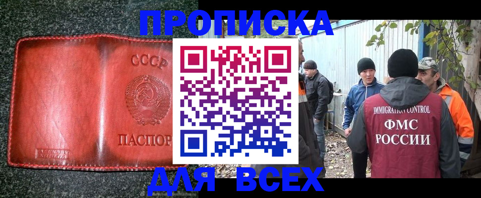 временная регистрация поиск в Амурской области